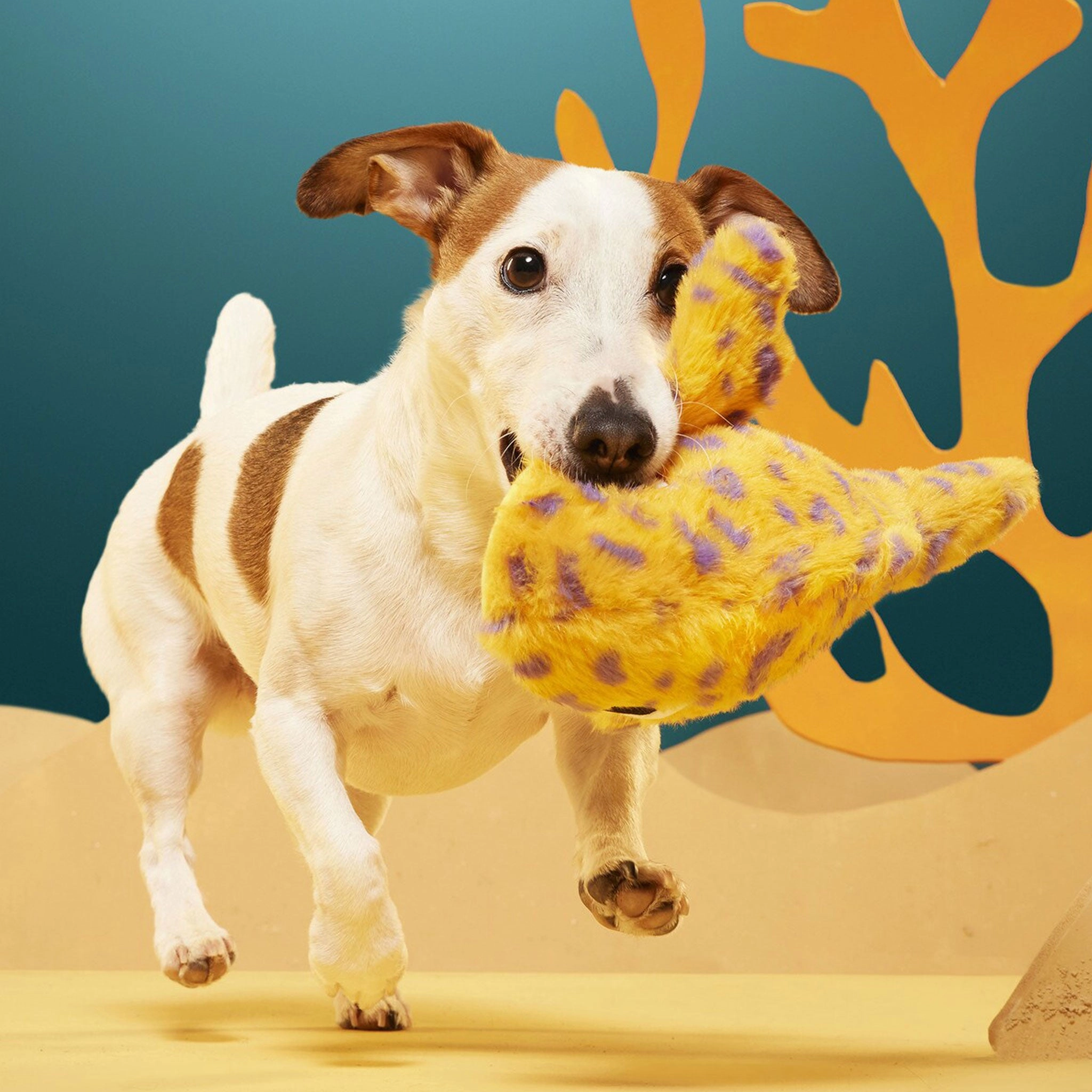 Bark Leopold Leopard Shark Dog Toy