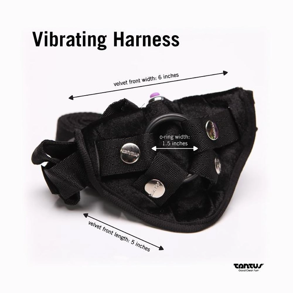 Beginner Harness Pegging Kit
