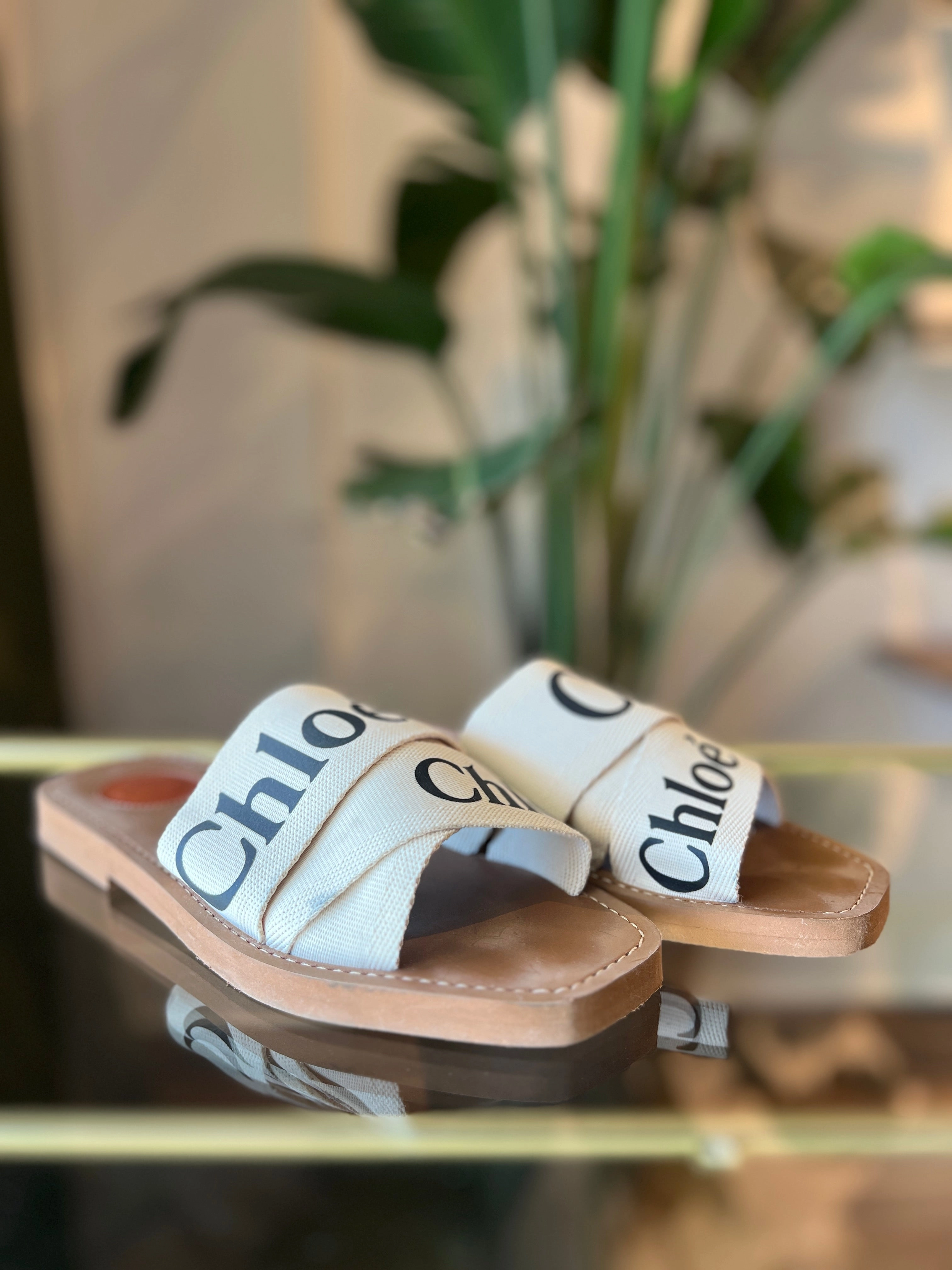 CHLOE Woody Flat Logo Ribbon Slide Sandals 37