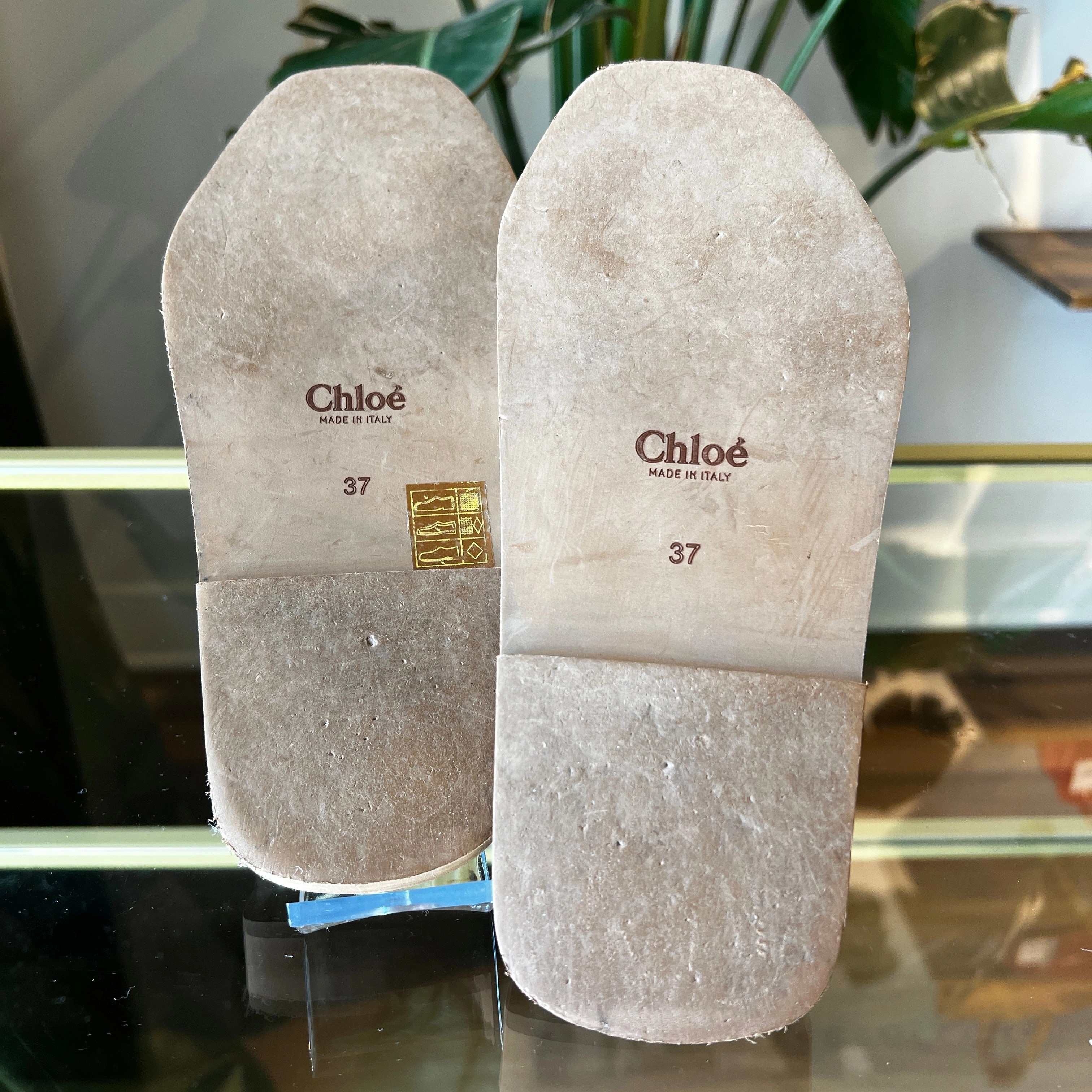 CHLOE Woody Flat Logo Ribbon Slide Sandals 37