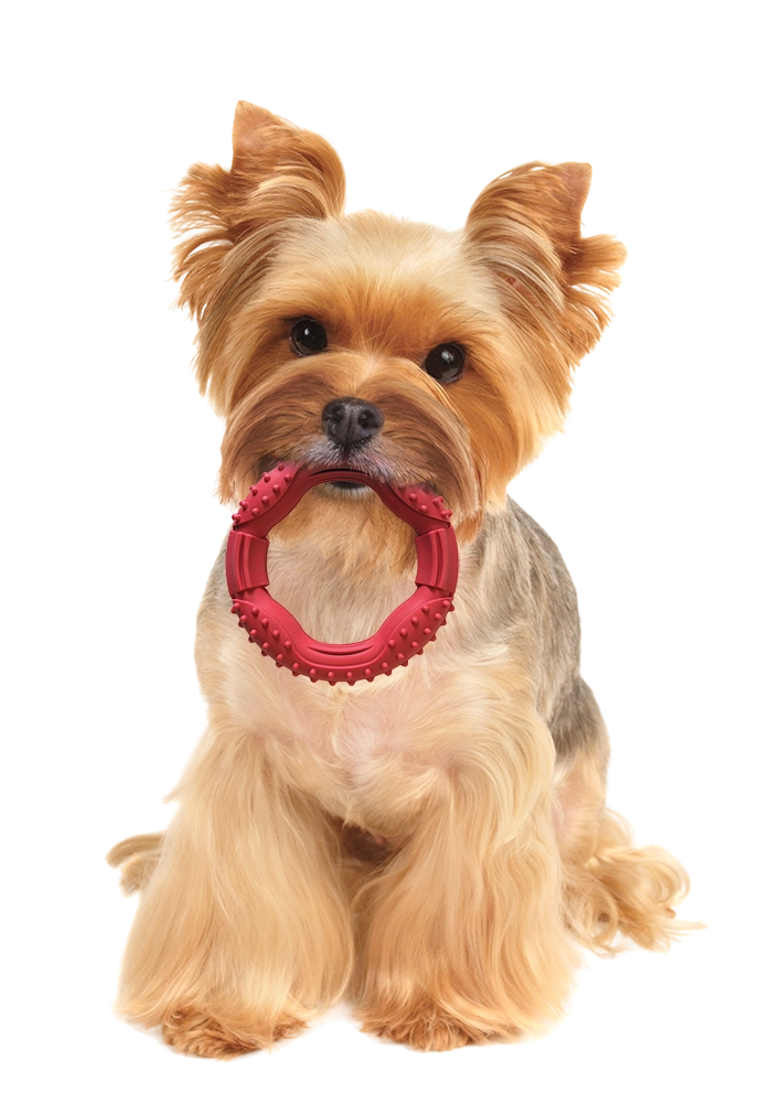 Ethical SPOT Barrett Tough Ring Dog Toy
