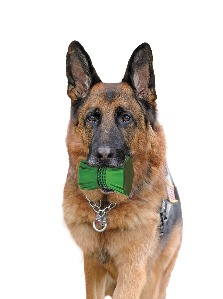 Ethical SPOT Barrett Tough Tumbler Dog Toy