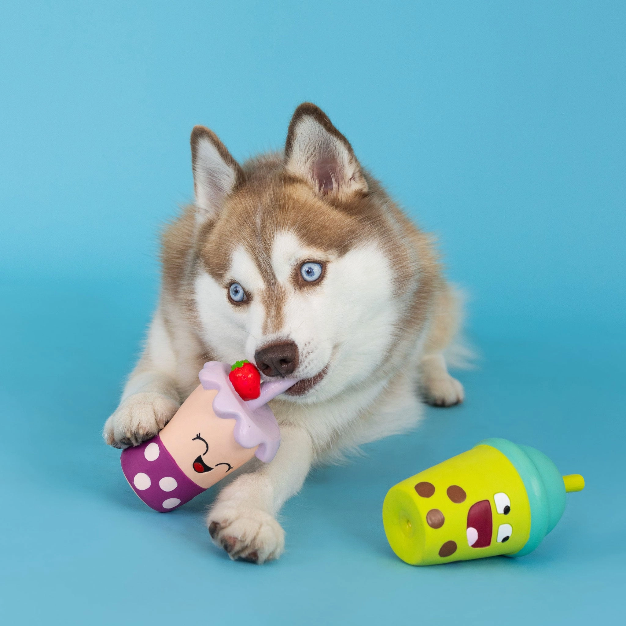 Fringe Best-Teas Dog Toys