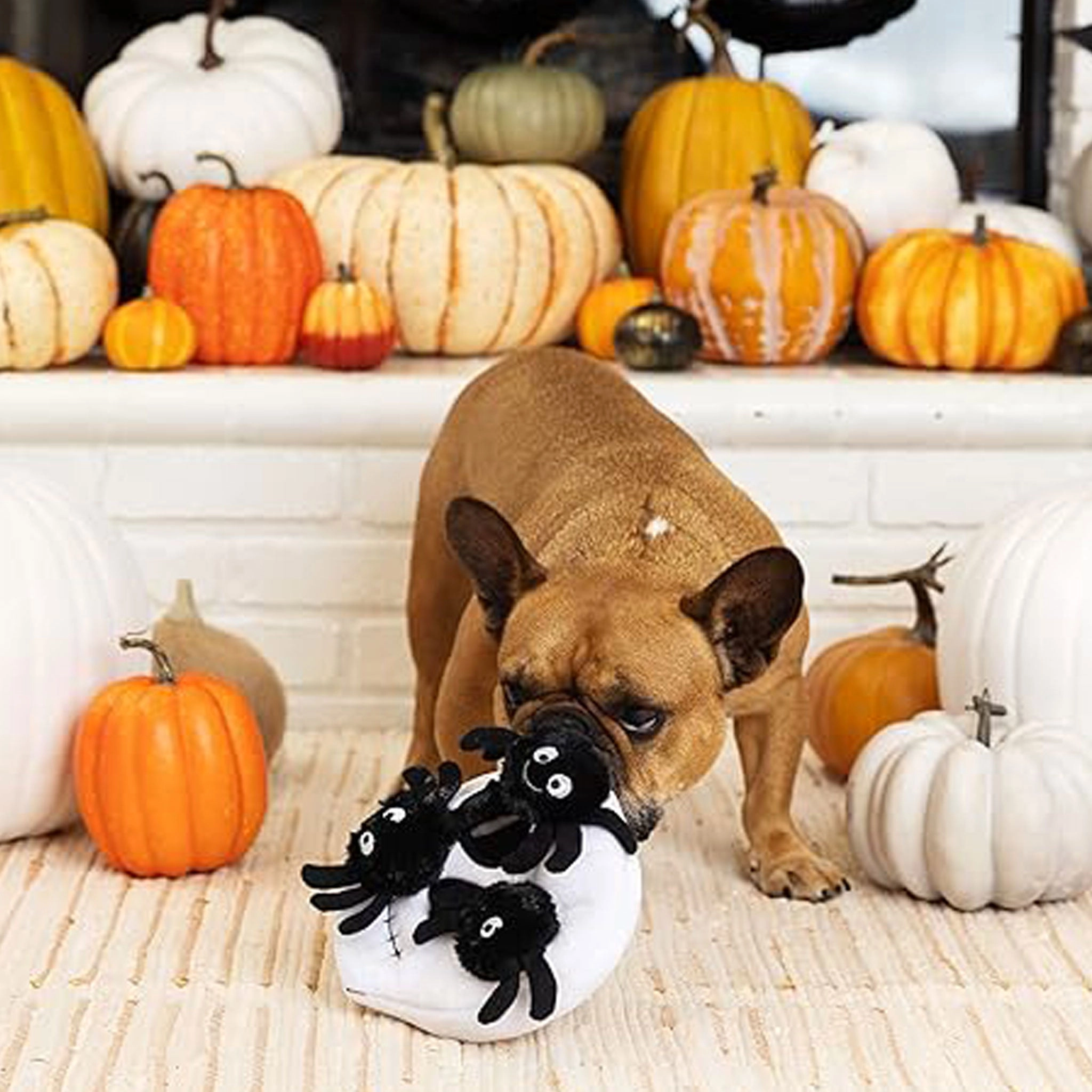 Fringe Burrow Skull w/Spiders Dog Toys