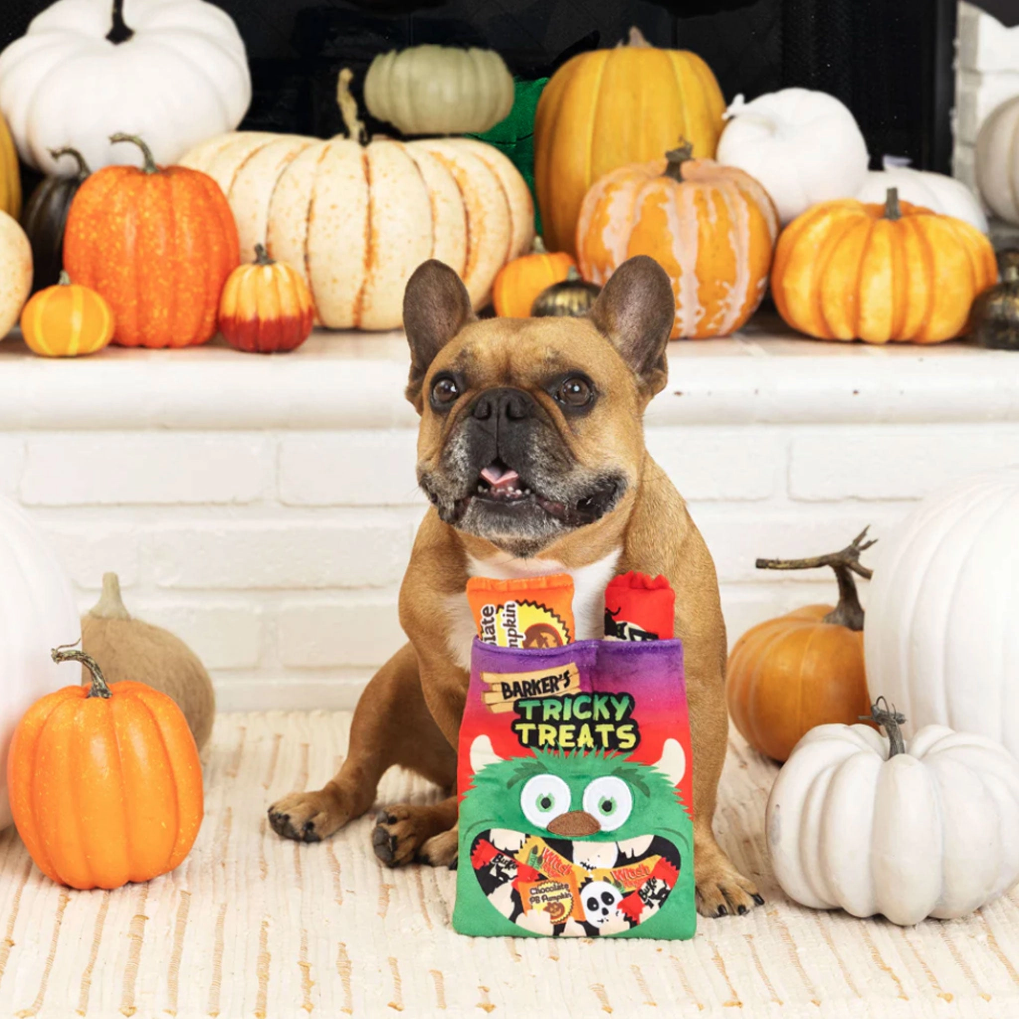 Fringe Burrow Tricky Treats Dog Toys