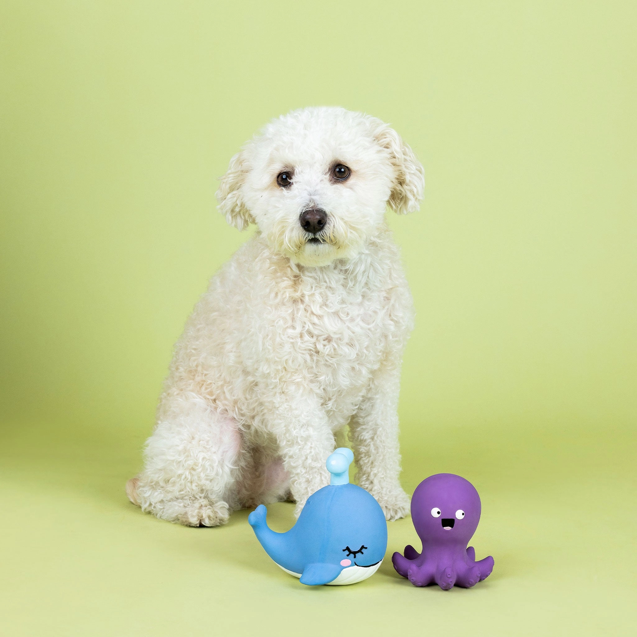 Fringe Happy to Sea You Dog Toys