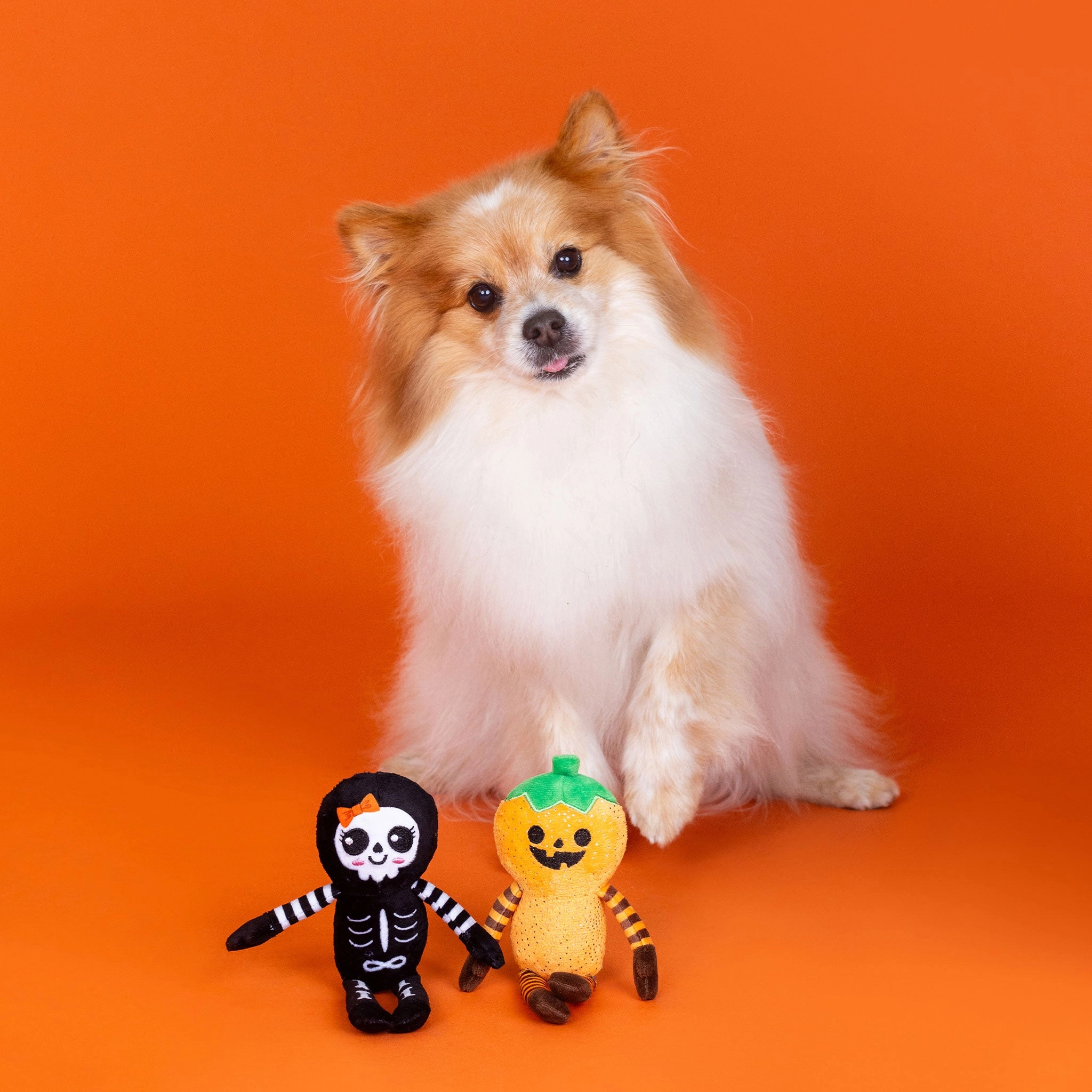 Fringe Oh My Gourd Multi Dog Toys