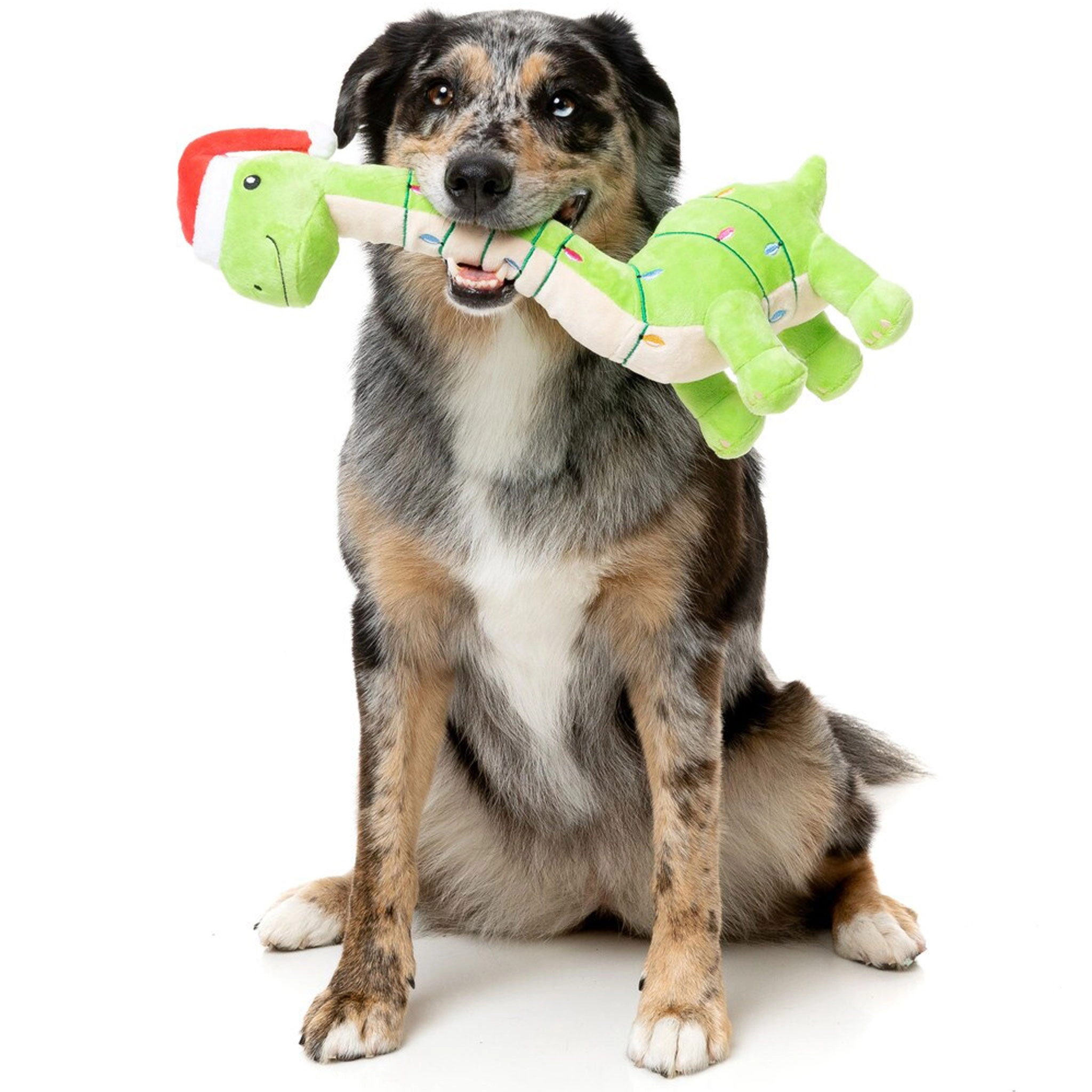 Fuzzyard Lit-a-Saurus Green Dog Toys