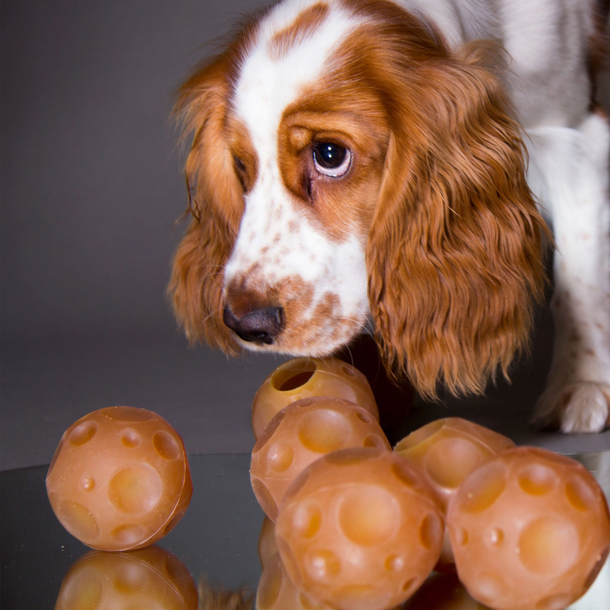 Hevea Natural Rubber Moon Ball Dog Toy