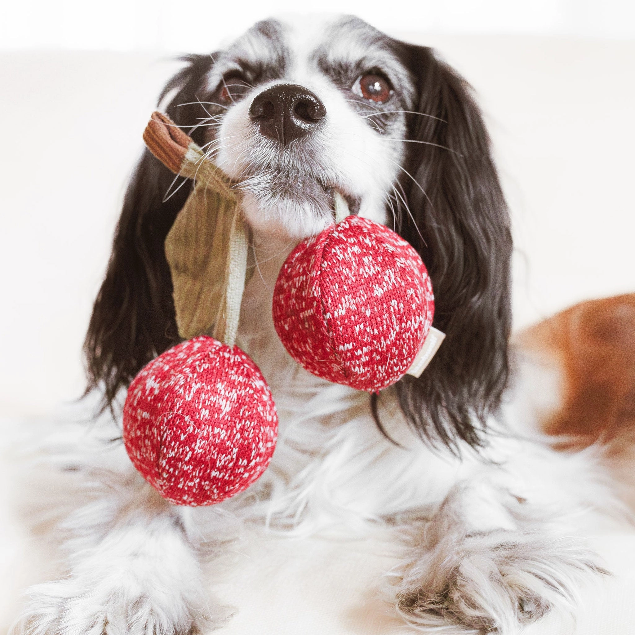Lambwolf Cherry Pops Red Dog Toys