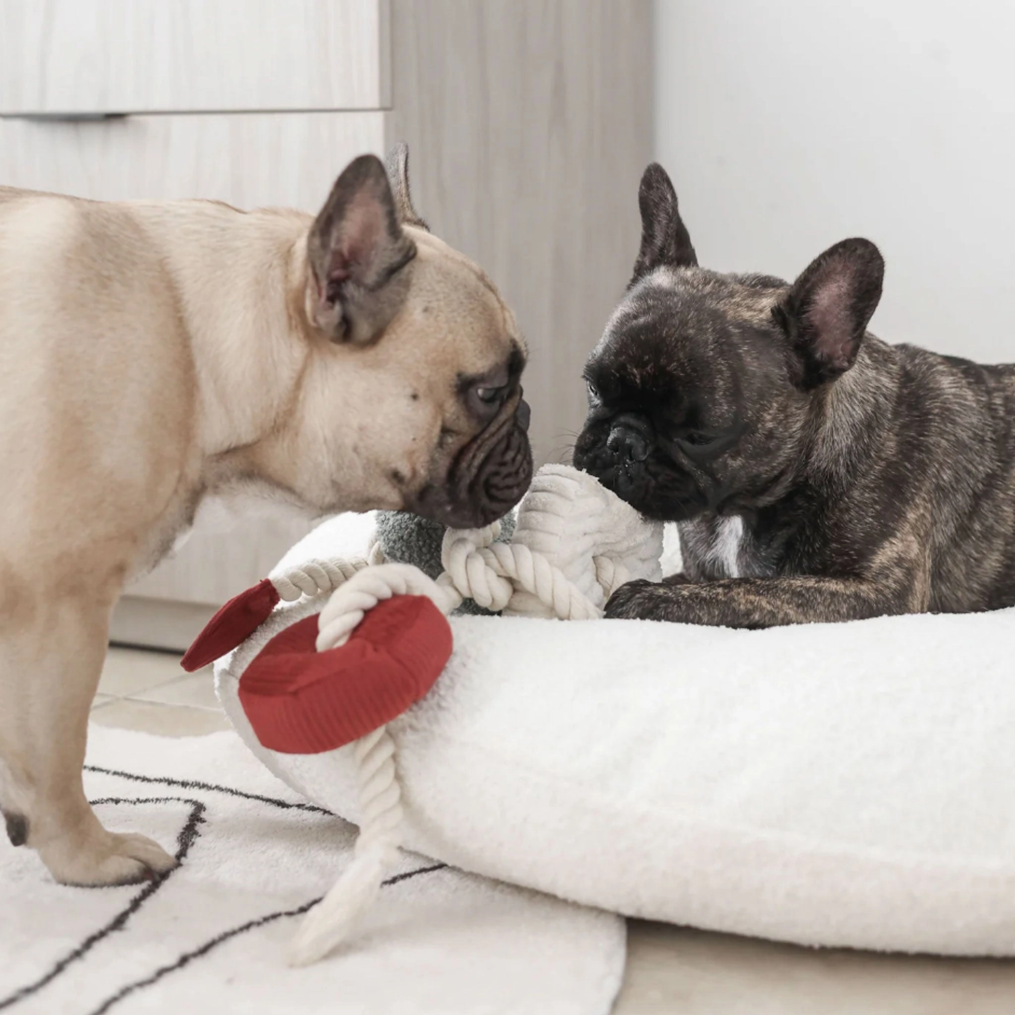 Lambwolf Holiday Bloc Multi Dog Toys