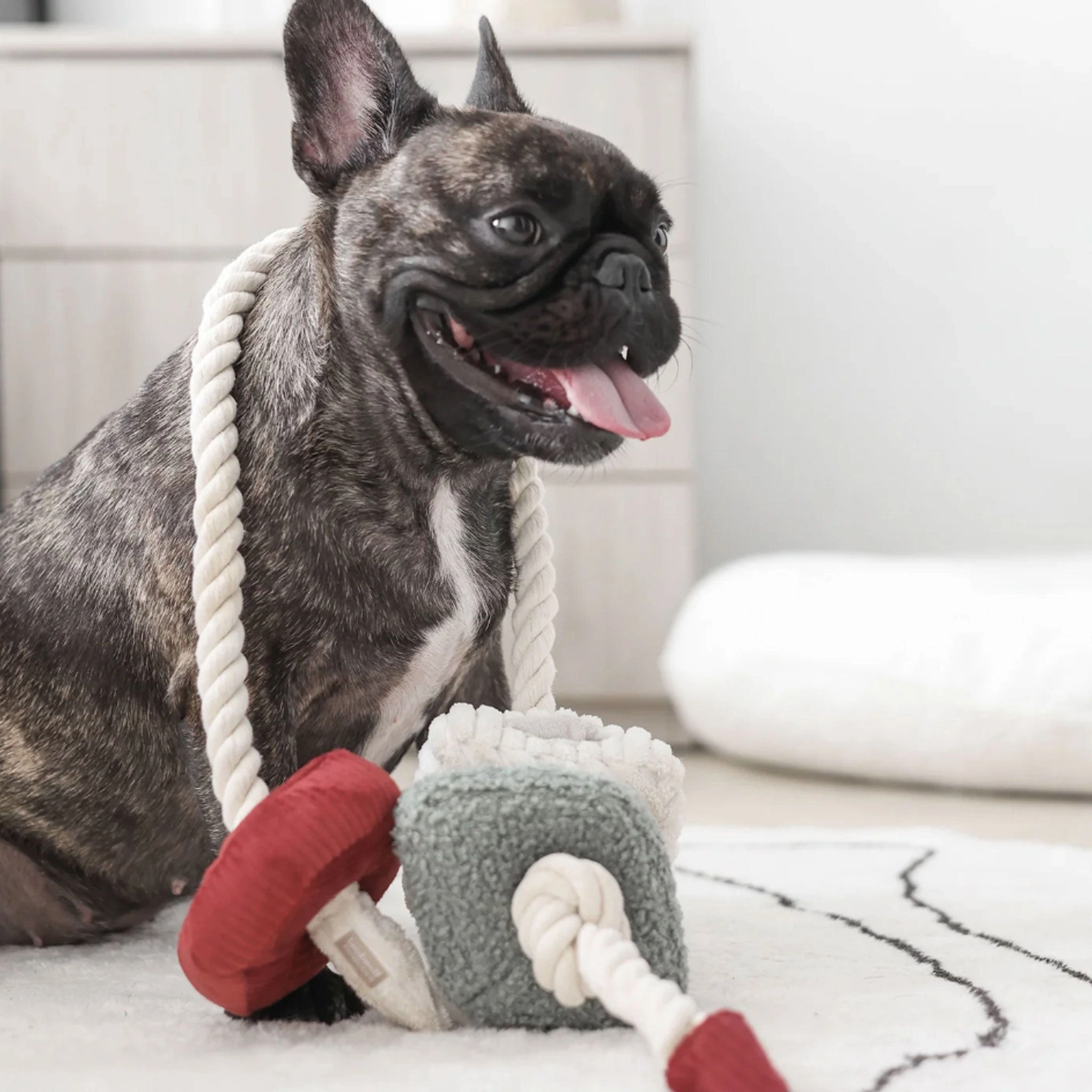 Lambwolf Holiday Bloc Multi Dog Toys