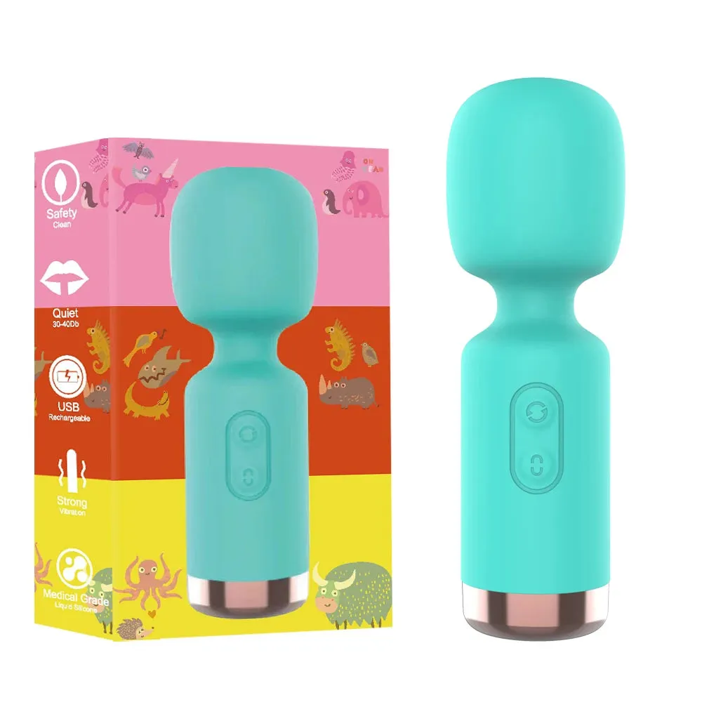 Mini Wand Vibrator