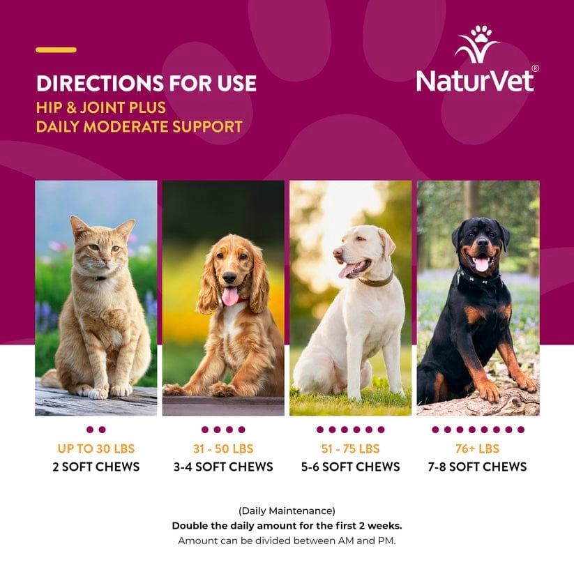 NaturVet Hip & Joint Plus Soft Chews for Dogs