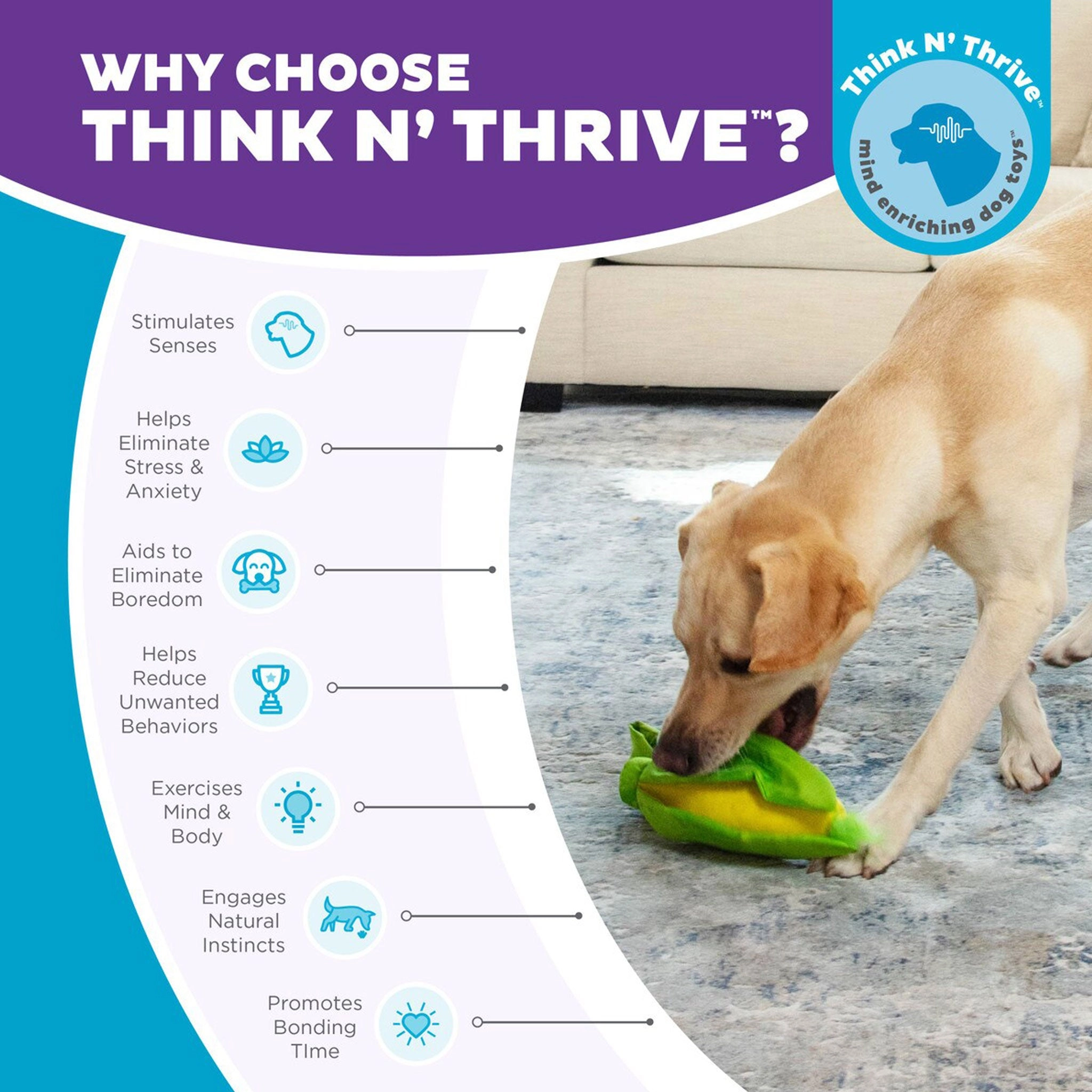 Nina Ottosson Hide n Find Corn Dog Toys