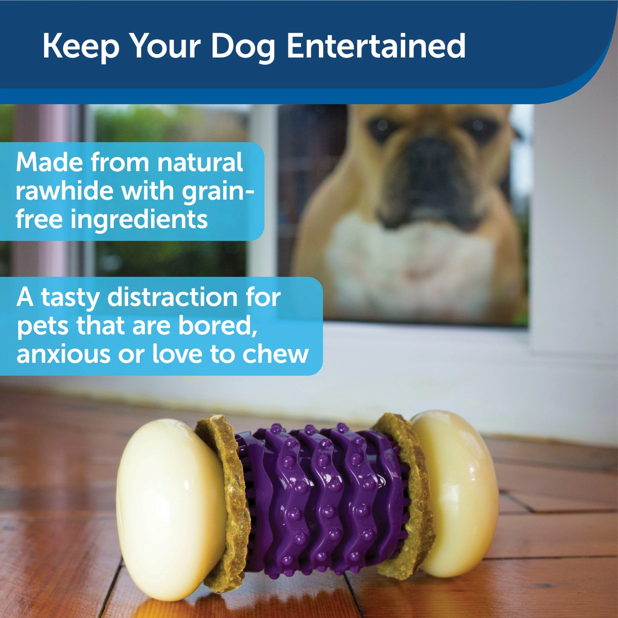 PetSafe Busy Buddy Nobbly Nubbly Treat Holding Dog Toy – Strong Chewers