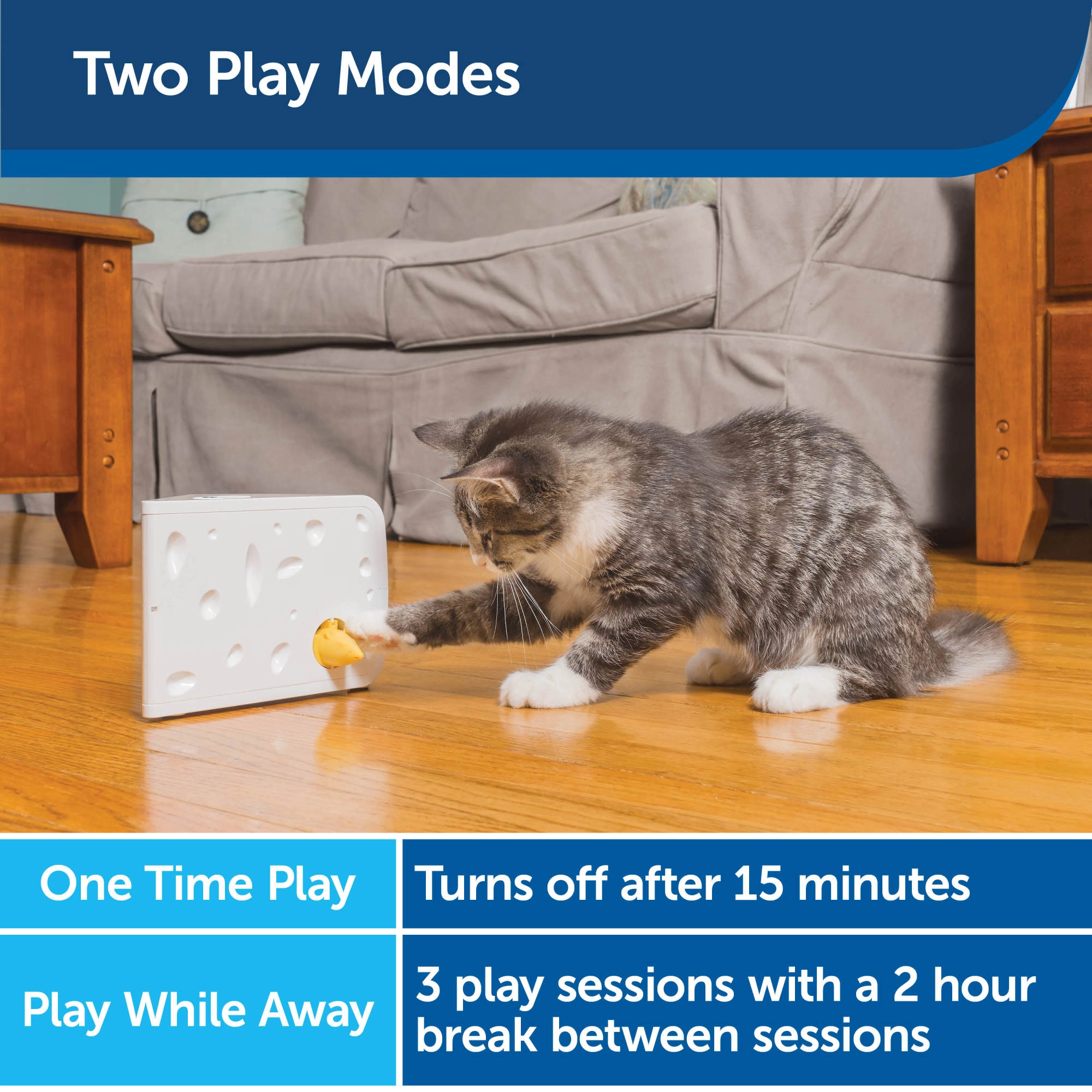 PetSafe® Cheese Automatic Cat Toy
