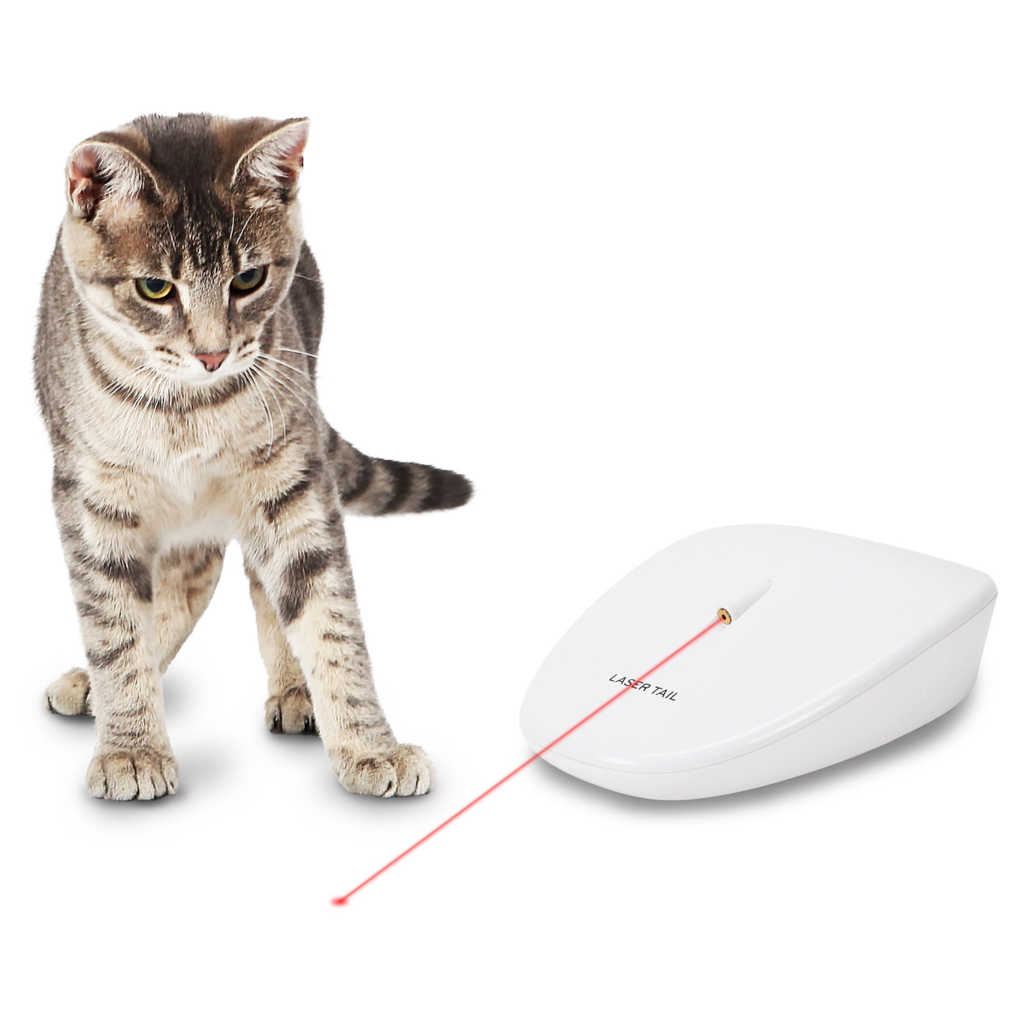 PetSafe® Laser Tail Automatic Laser Light Cat Toy