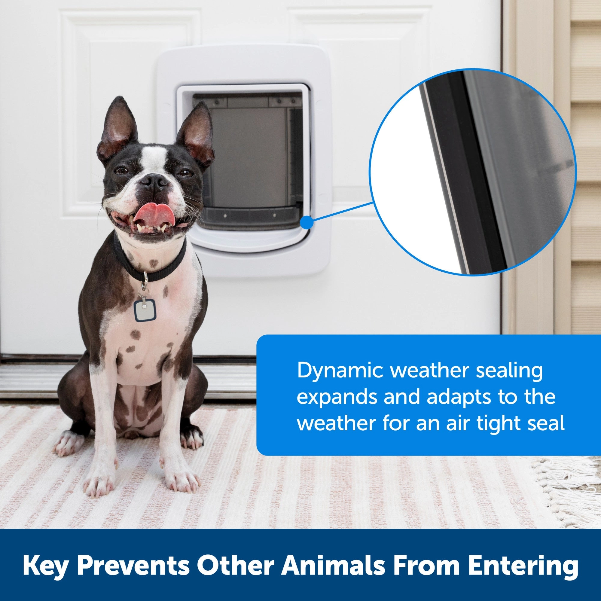 PetSafe® NEVER RUST SmartDoor™ Connected Pet Door, Dog and Cat, Medium