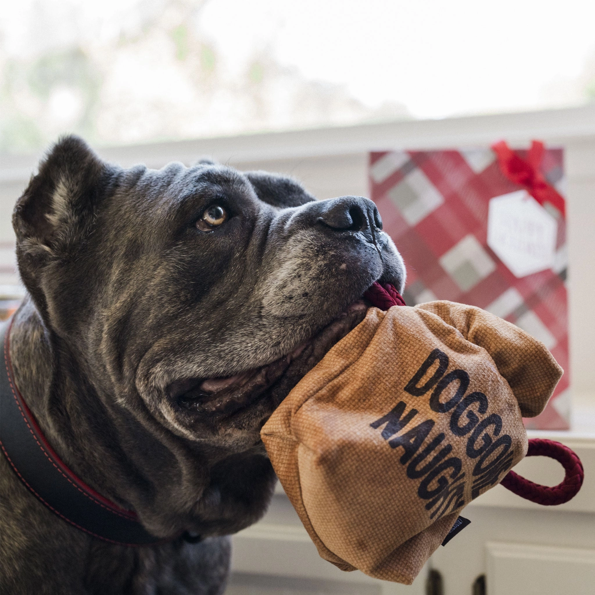 P.L.A.Y. Holiday Bag of Coal Brown & Black Dog Toys