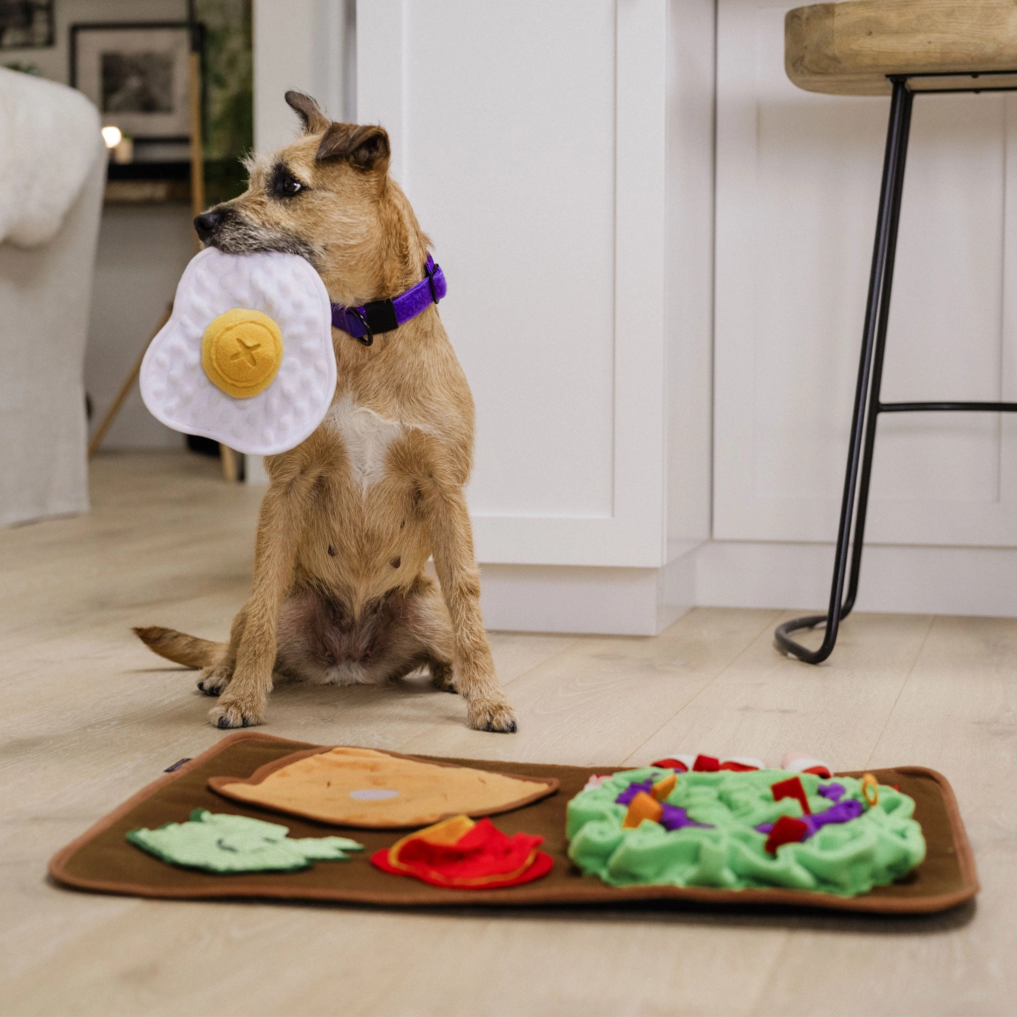 P.L.A.Y. Snuffle Mat Savory Sunrise Dog Toys