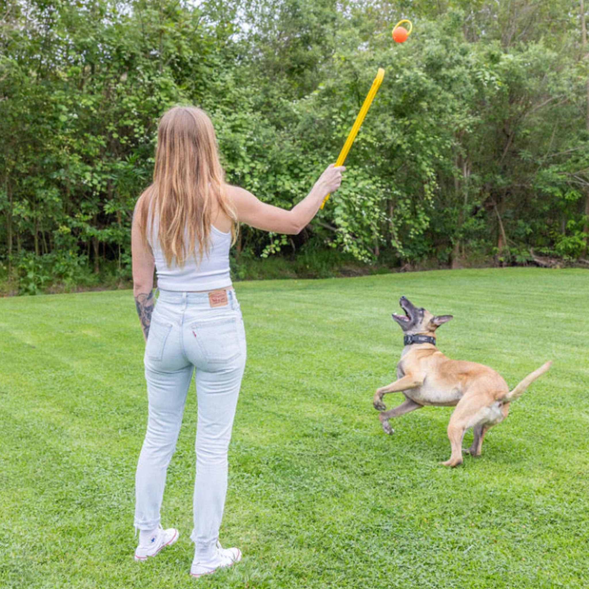 Project Hive Zoomer Fetch Toy Yellow Dog Toys