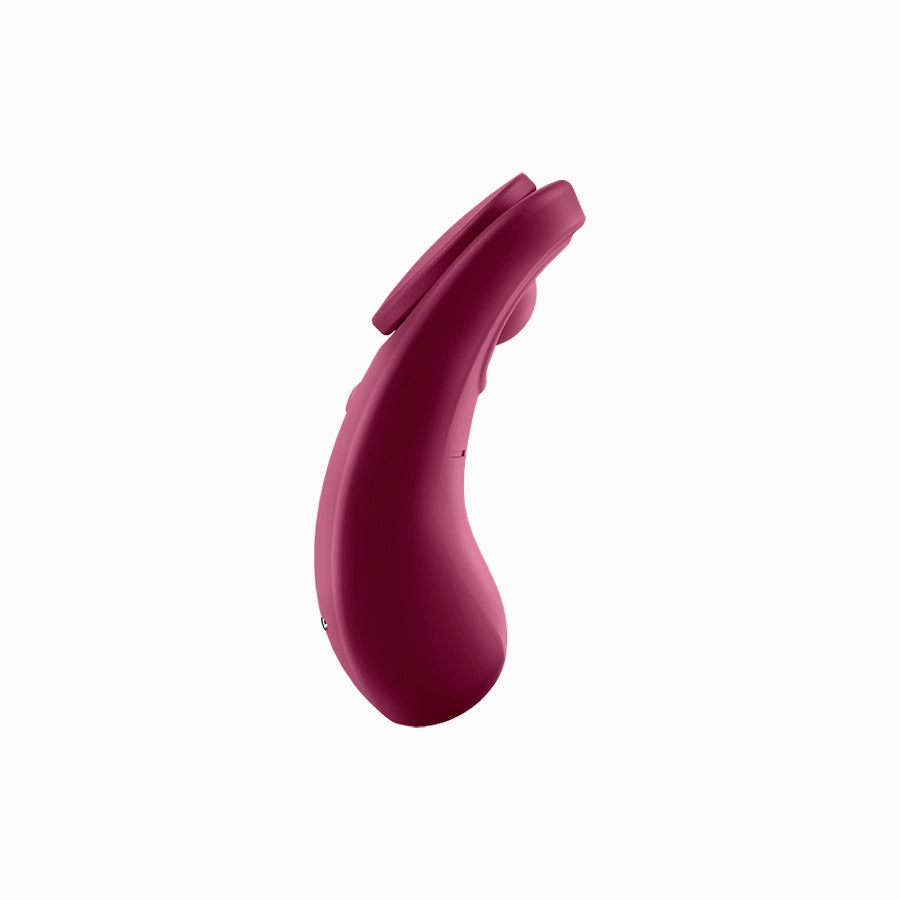 Satisfyer Sexy Secret Panty Vibrator