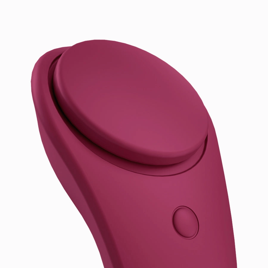 Satisfyer Sexy Secret Panty Vibrator