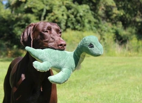 Tall Tails Plush Nessie with Squeaker Dog Toy